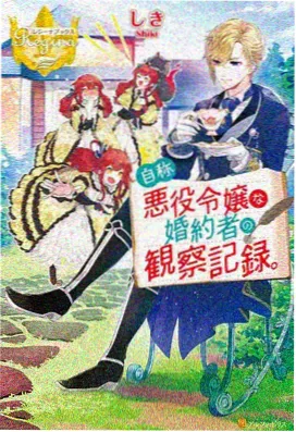 两不疑动漫免费观看第三季海报：夜色下的双人并肩剪影